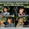 Tips for Driving in Australia with Kids or Pets in the Car