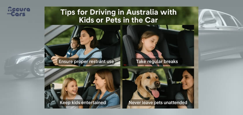 Tips for Driving in Australia with Kids or Pets in the Car